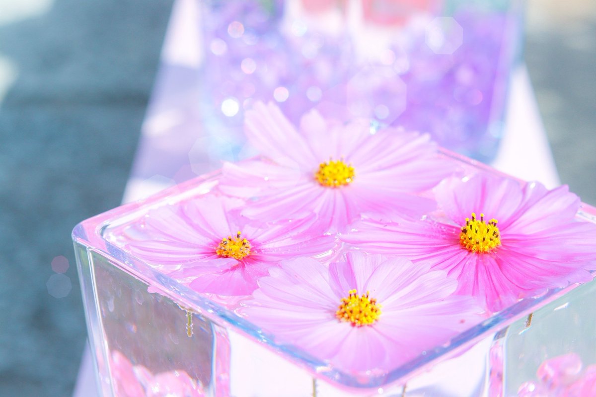 Sorani___Ao's tweet photo. 秋晴れの宝箱を君に贈りたい。 https://t.co/VfEtKgGOTH