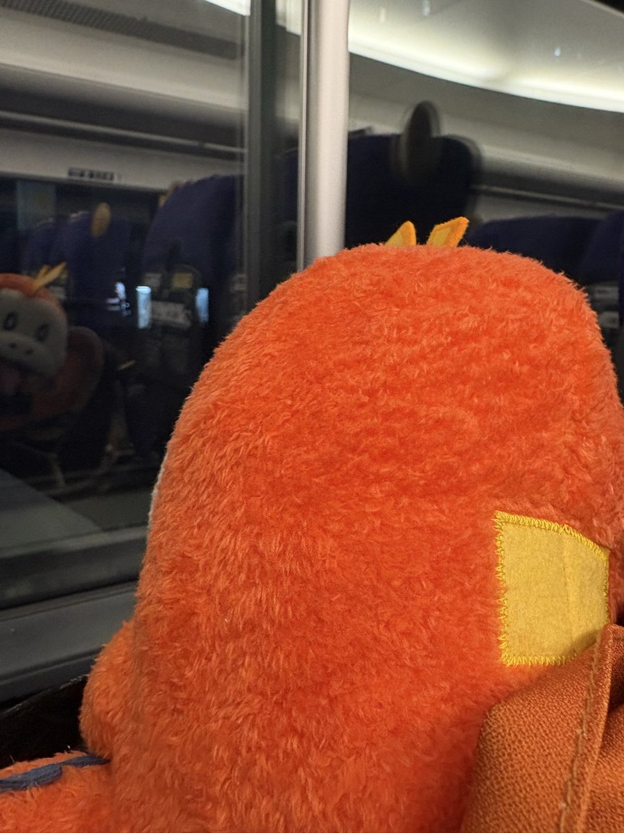 yu18moon4's tweet photo. きょうーはなんのひ♩

#ホゲータの日

おでかけ楽しかったねホゲータ☺️✨
また行こうねー! https://t.co/l98P7v3Uhf