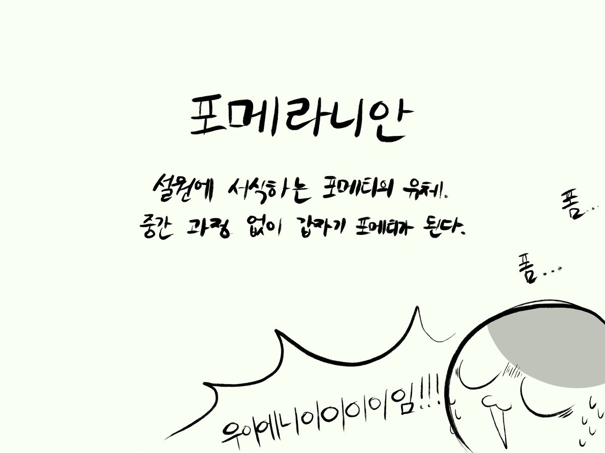 uzivkr's tweet photo. 포메라니안

설원에 서식하는 포메티의 유체
중간 과정 없이 갑자기 포메티가 된다 https://t.co/lJ16qMpsIu