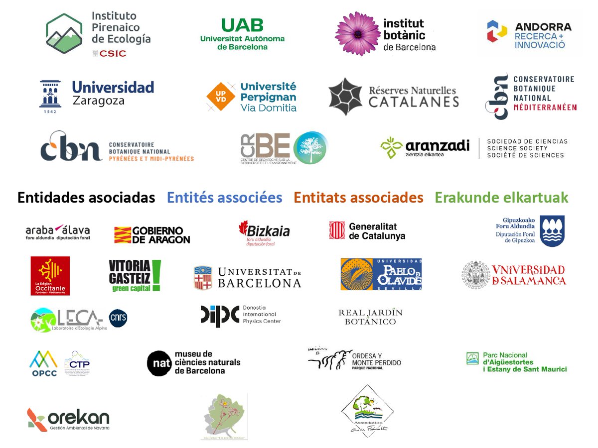 IBB_botanic's tweet photo. 🌿 ¡Nace PHYLOFLORA-PYR!

Nos hace mucha ilusión contaros que el IBB participa en este nuevo proyecto, nacido para impulsar el conocimiento y la difusión de la flora de los Pirineos.

La presentación oficial será los días 4 y 5 de noviembre, en Boltaña. ¡Reservad la fecha! ✨ https://t.co/HcVk4XSysP