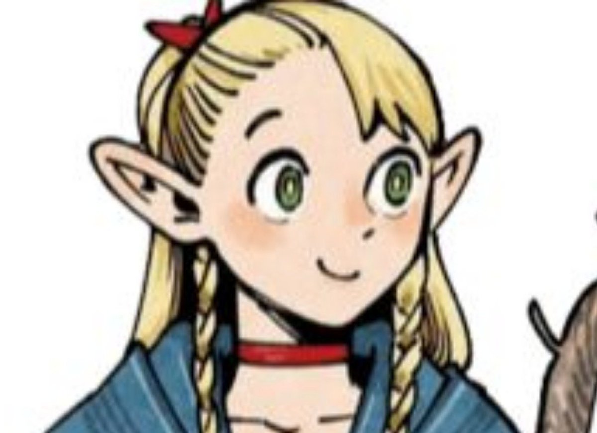 evil_leander's tweet photo. If you draw marcille with big boobs or ass you are a larper.
Is this the face of somone with a big rack? No!!!! https://t.co/ehCtOR2lQt