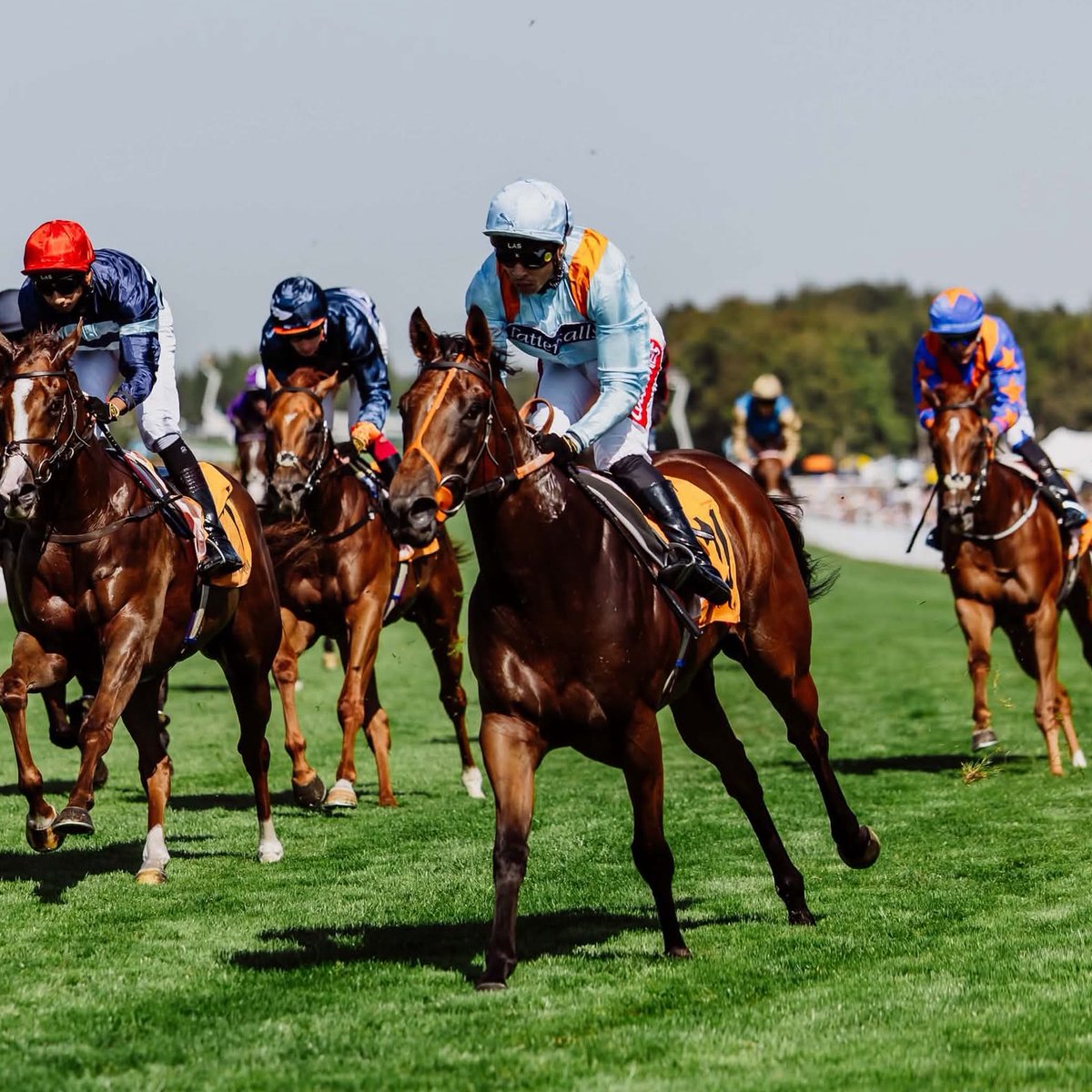 MprUpdates's tweet photo. PERSHAADA declared for the Flying Childers!💥

Our star filly takes her place in the line-up for the Group 2 Flying Childers Stakes at the St Leger Festival. 

We can’t wait to see her back in action! 🧡💙

#TeamMPR https://t.co/zx8vDsZh6G