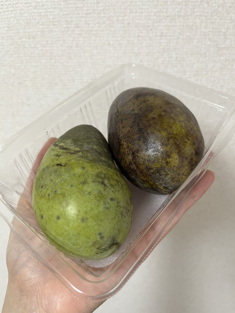 6siip's tweet photo. 道の駅でポポーをゲット。
珍しいフルーツ好きだから嬉しい🥳 https://t.co/2CWapv7zeT
