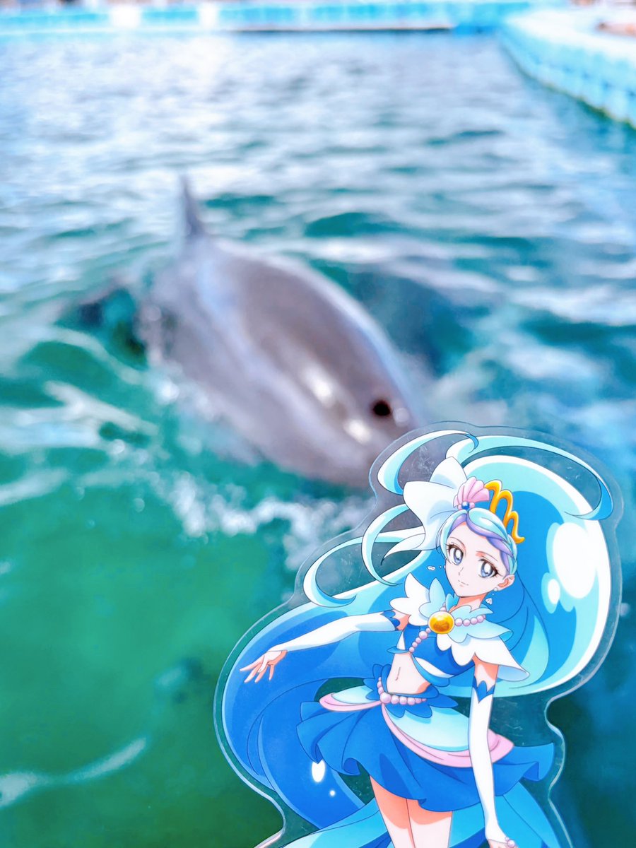 Mermaid_0720's tweet photo. お気に入りの写真🐟🐬
特にイルカとの写真お気に入り💓 https://t.co/dhfkHYCSUj