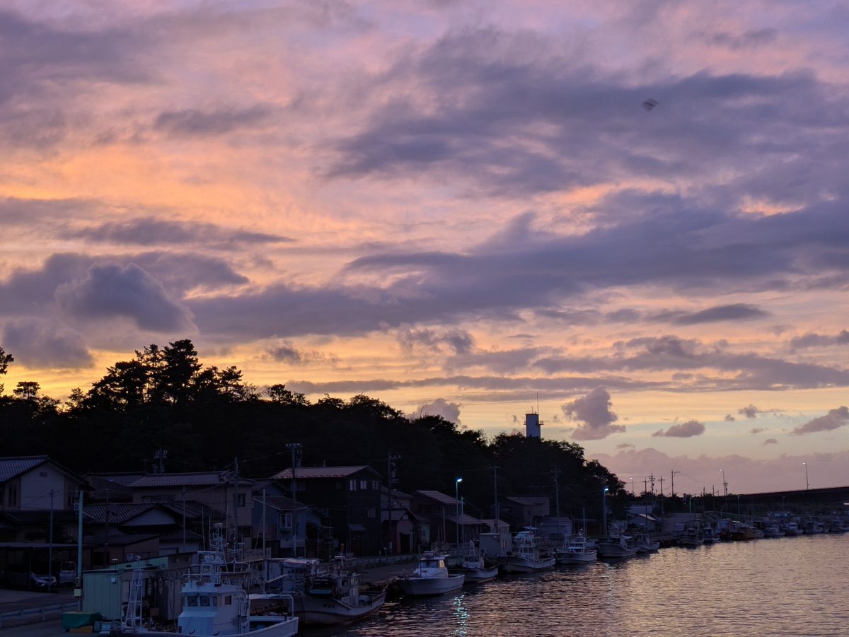 katakagoan's tweet photo. 夕焼けに誘われて。
時々遭うミケちゃんとすこし戯れる。 https://t.co/hqQoHEM2GL