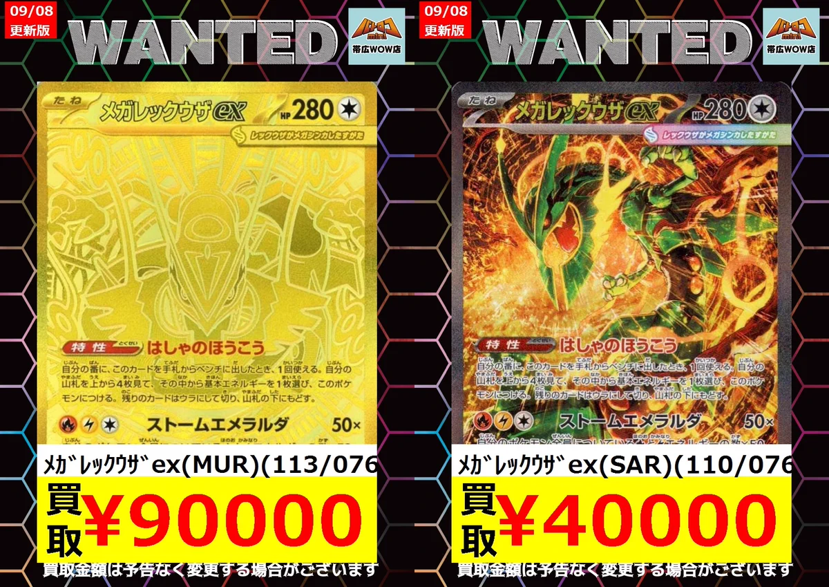 期間限定お値下げ！激レア！早い者勝ち！　WOLFGANG　BOACHERT バトロコミニ帯広WOW店＠スタッフ募集中 on X: 