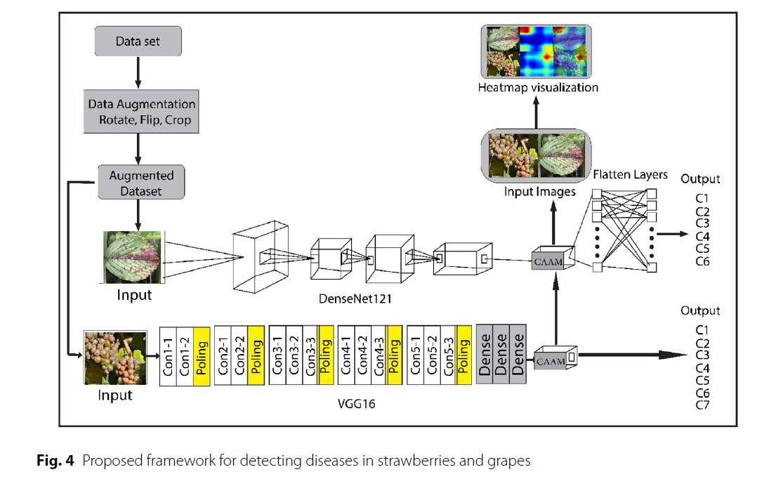ric_psu's tweet photo. How can AI enable earlier crop disease detection? A 2026 study by a group from the Smart Systems Engineering Lab explores deep learning to detect strawberry and grape diseases in real-world field conditions—advancing smarter agriculture.
https://t.co/8vuXDGC2fS https://t.co/usIMx03dvF