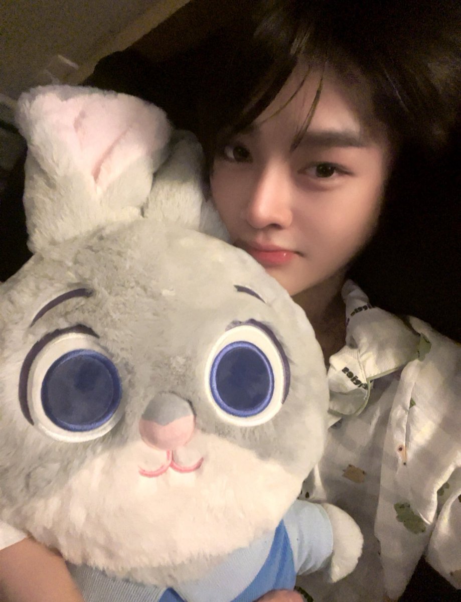 ottosnorthie's tweet photo. otto really does take the most omegaful photos before bed https://t.co/JFjFELhJYe