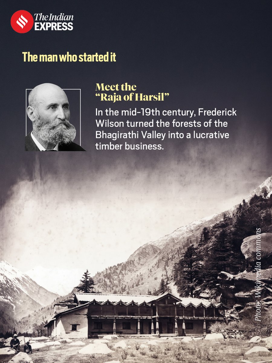 IndianExpress's tweet photo. #ExpressResearch | British forest policies transformed the Himalayas, bringing commercial timber extraction, restricting local forest rights and leaving an ecological legacy still visible today.

Written by: Adrija Roychowdhury
Design: Angshuman Maity 

https://t.co/hpc432x3hX https://t.co/h3coBRslsR
