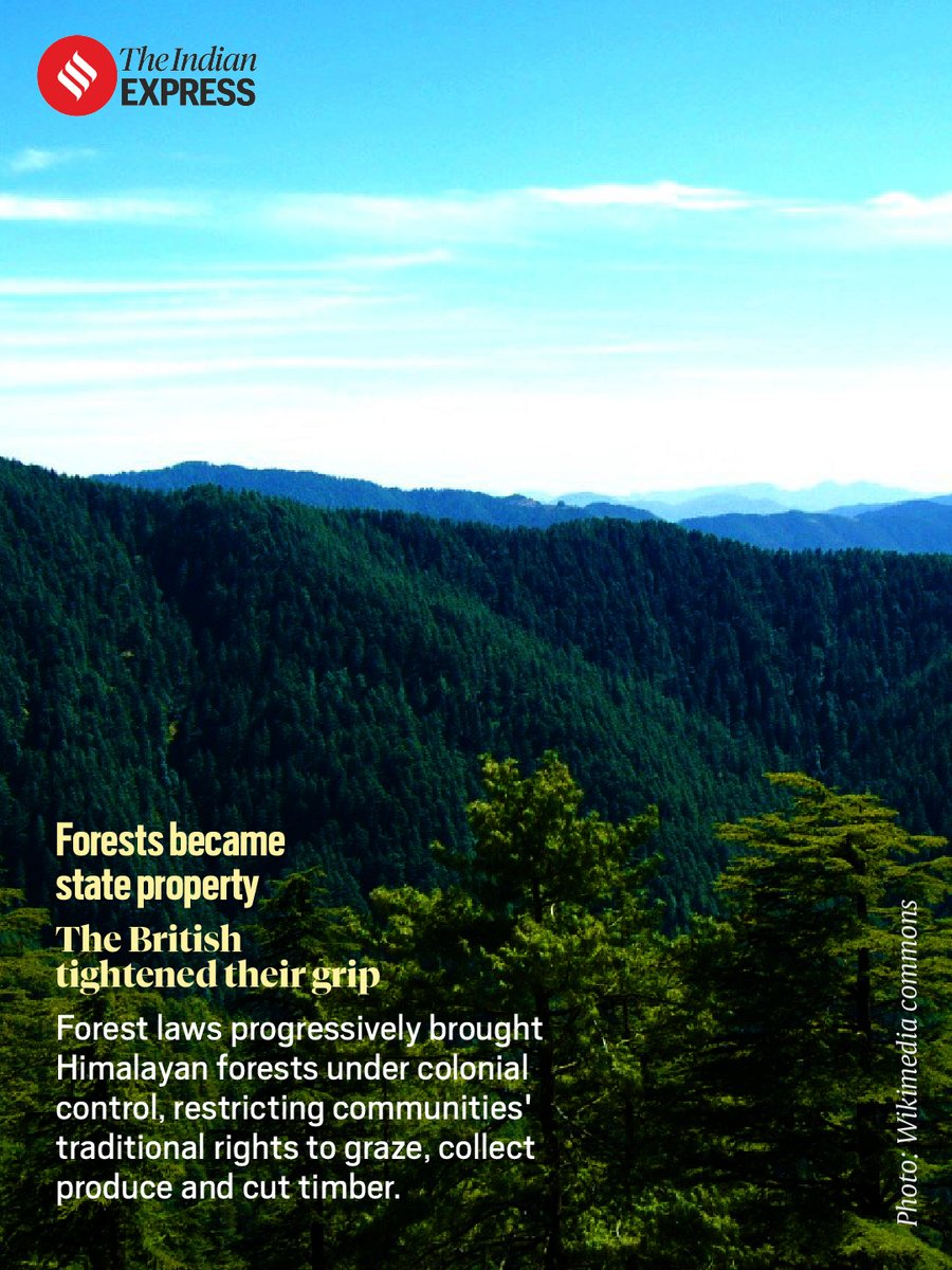 IndianExpress's tweet photo. #ExpressResearch | British forest policies transformed the Himalayas, bringing commercial timber extraction, restricting local forest rights and leaving an ecological legacy still visible today.

Written by: Adrija Roychowdhury
Design: Angshuman Maity 

https://t.co/hpc432x3hX https://t.co/h3coBRslsR