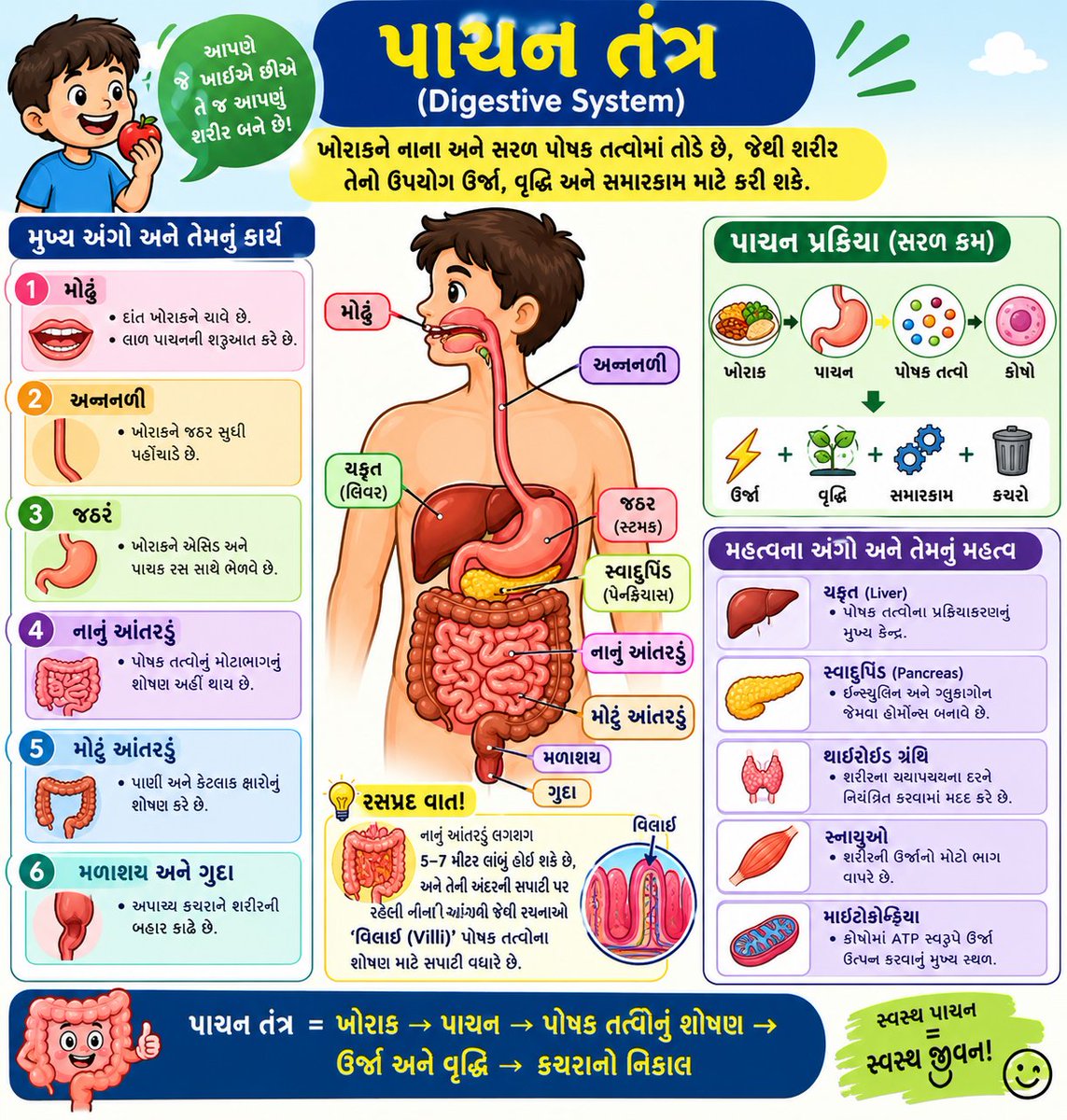 DistrictNavsari's tweet photo. ખોરાકનું પોષણમાં રૂપાંતર કરતું આપણું પાચન તંત્ર (Digestive System) શરીરનું પાવરહાઉસ છે! 🍎✨
સ��વાસ્થ્યનો સીધો રસ્તો પેટથી જ શરૂ થાય છે. સારૂં ખાાઓ, પૂરતું પાણી પીઓ અને પાચનને મજબૂત બનાવી સ્વસ્થ રહો. 💧🥗
#HealthTips #DigestiveSystem https://t.co/ULc0tNHnR4