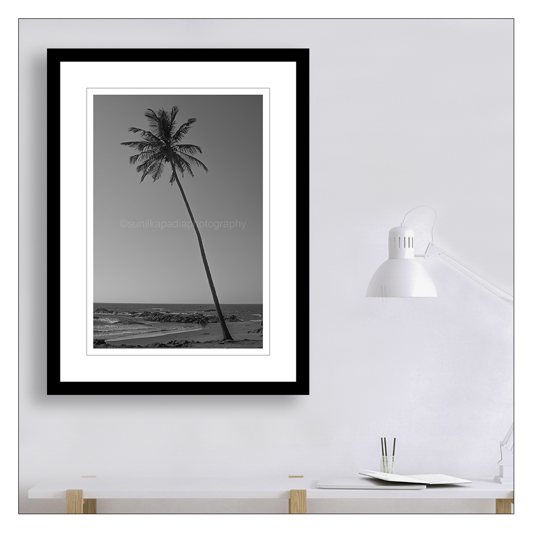 SunilKapadia19's tweet photo. _SSK0691 The Lone Rise. bw
Buy This Photo Art Print
#alone #rise #blackandwhite #blackandwhitephotorgaphy #landscape #landscapephotography #blackandwhitelandscapephotography #seascape #blackandwhiteseascape #palmtree #arisen #touching #sky #Arabiansea #calm #serene #Goa #India https://t.co/AArkKClvL9