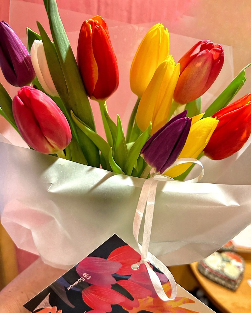 ReneaBayonpp's tweet photo. Happy International Women’s Day, dear women! Wishing you happiness, love, understanding, beauty, success, harmony, inspiration, optimism, and above all, peaceful skies. https://t.co/B6xYYoQV5Z