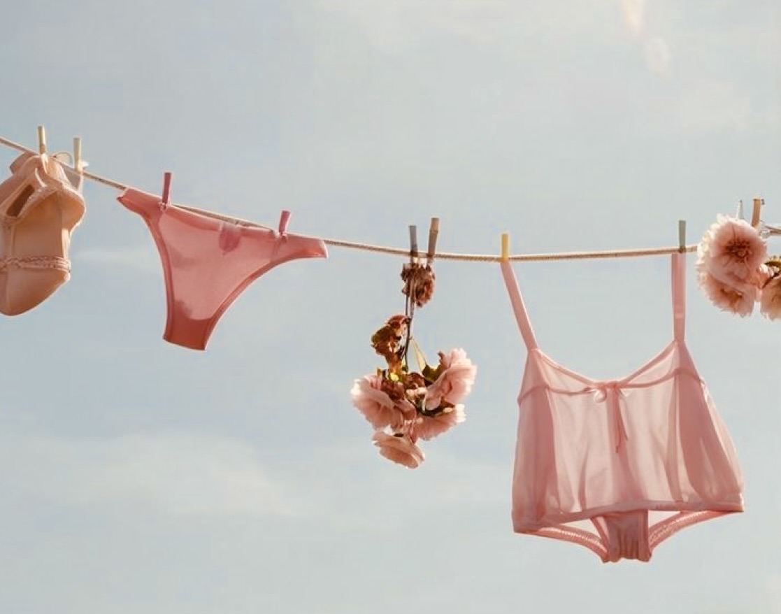 WilsonDeliul's tweet photo. Photo by Nicole Rose on August 29, 2026. May be an image of a bra and text. https://t.co/Zuj0UmSaUX
