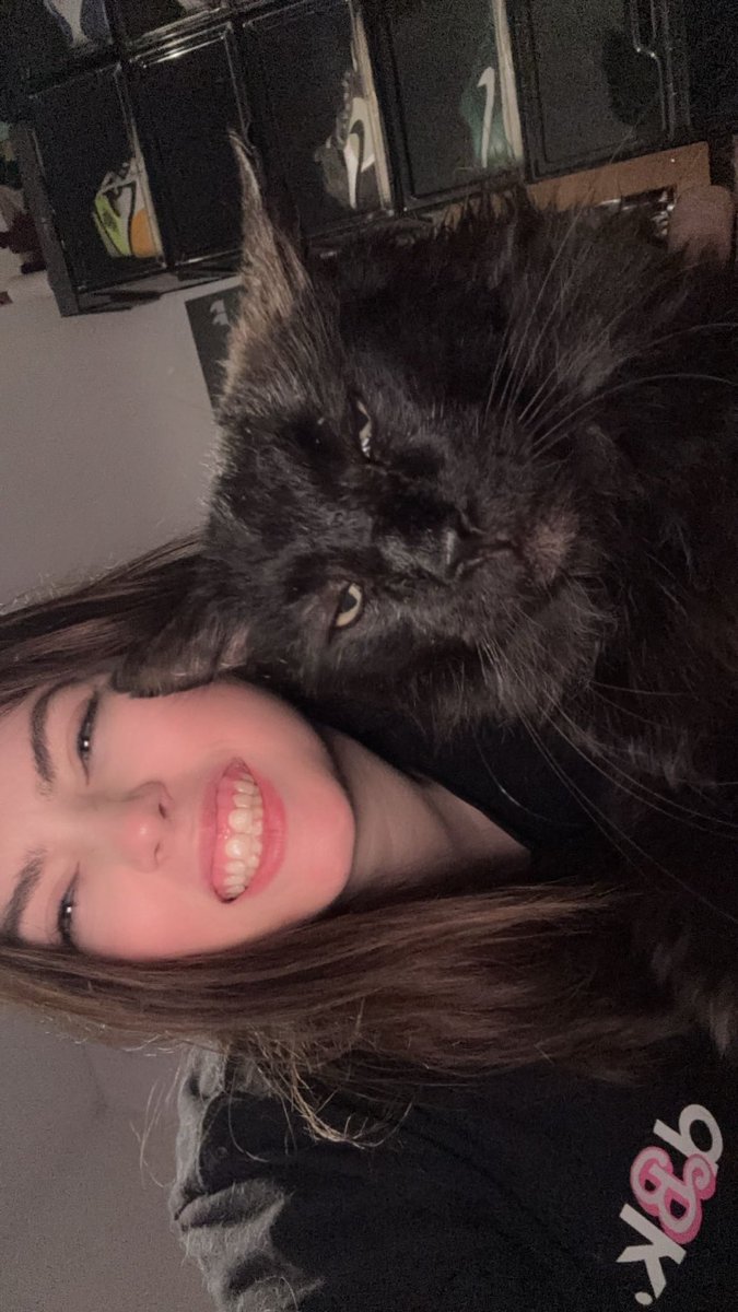 scoobsnacck's tweet photo. Scaredy cat 🐈‍⬛ https://t.co/yWgnLSMBCo