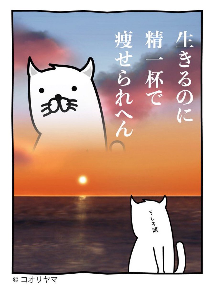 koube_neko's tweet photo. 人気ベスト4です…！ https://t.co/Q5af5yPx5I