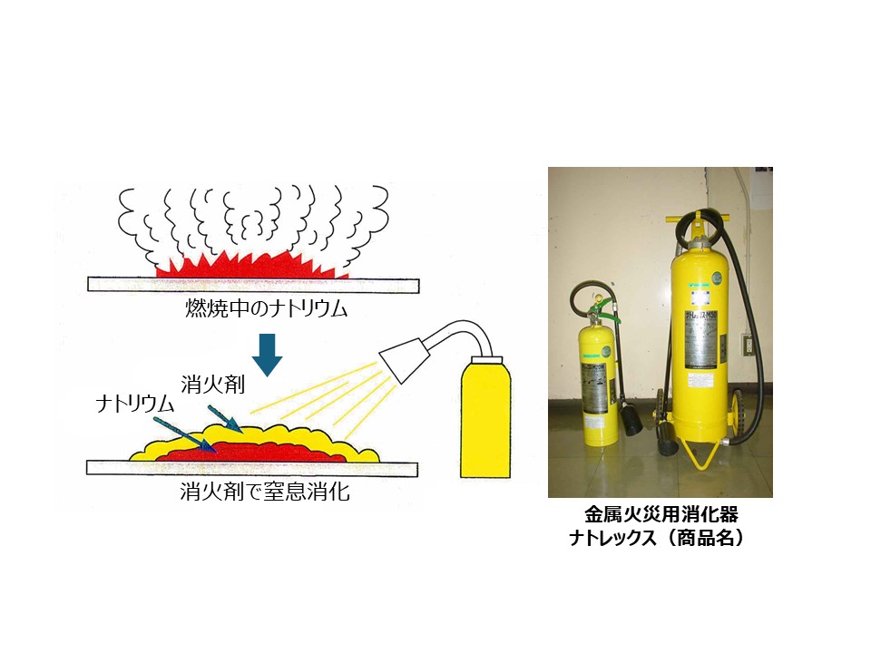 JAEA_japan's tweet photo. #ナトリウム が燃えたらどうするの？

高速炉では、万が一のナトリウム火災に備えた安全対策が欠かせません。
JAEAは民間企業と協力し、無機粉末で空気を遮断する消火剤「ナトレックス」を開発しました。
現在は、JAEA施設や化学工場などで使用されています。
#大洗原子力工学研究所 https://t.co/PxNyF2B6Lk