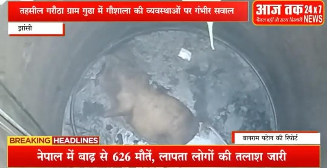 BalramP19522386's tweet photo. झांसी तहसील गरौठा ग्राम गुढा में NGOगौशाला की बदहाल स्थिति, कुए में गिरा गोवंश ग्रामीणों के घर जा रहा था कुए से पीने कापानी पूरा परिवार हुआ बीमारी का शिकार,शासन प्रशासन से न्याय की गुहार @Jhansi_DM @adgzonekanpur @digjhansi2 @CommissionerJha @jhansipolice @GausevaRss @myogioffice https://t.co/aHNkKSC7yJ