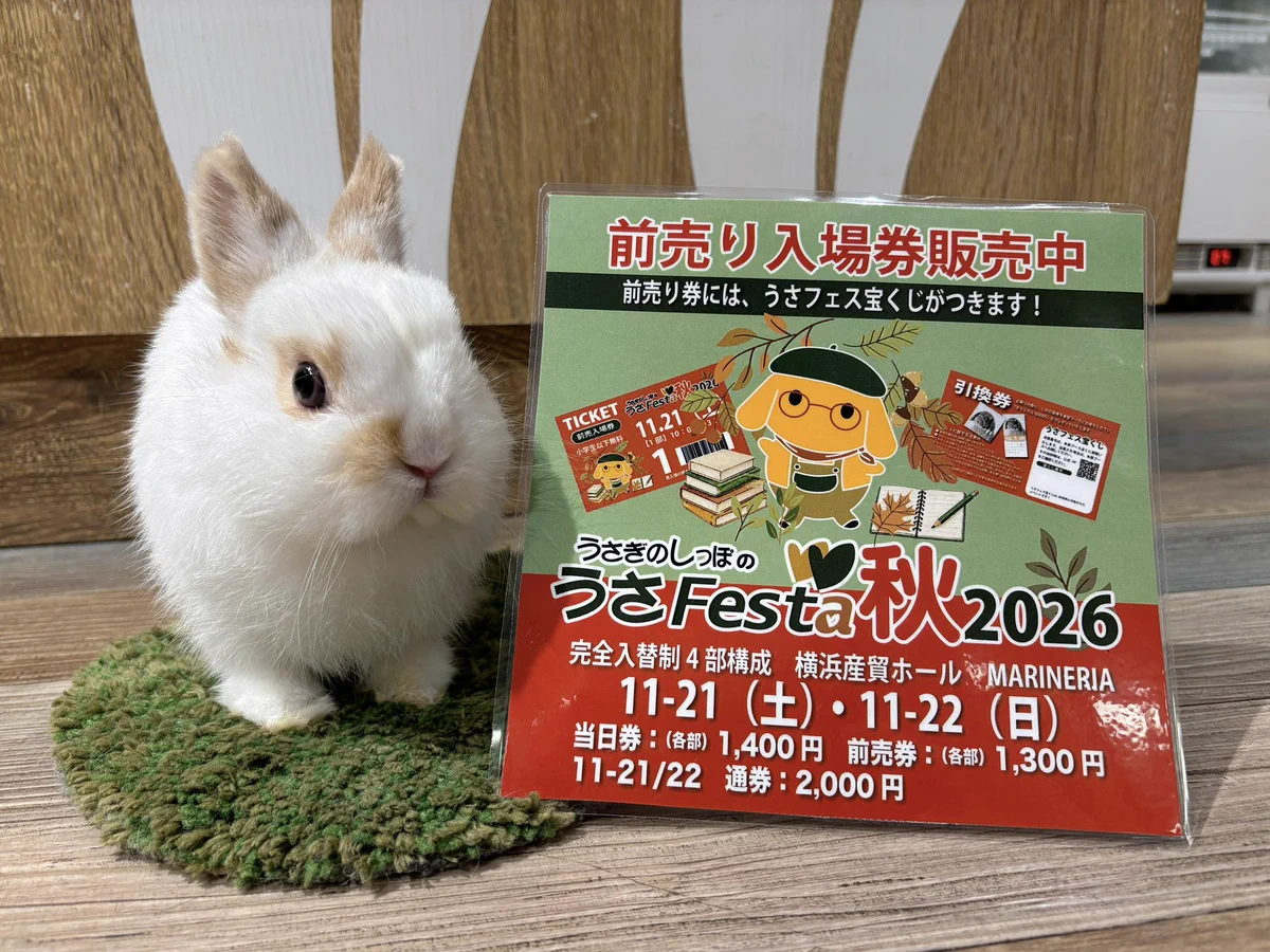 しっぷうしーぷ様　購入専用ページ うさぎのしっぽ洗足店 on X: 