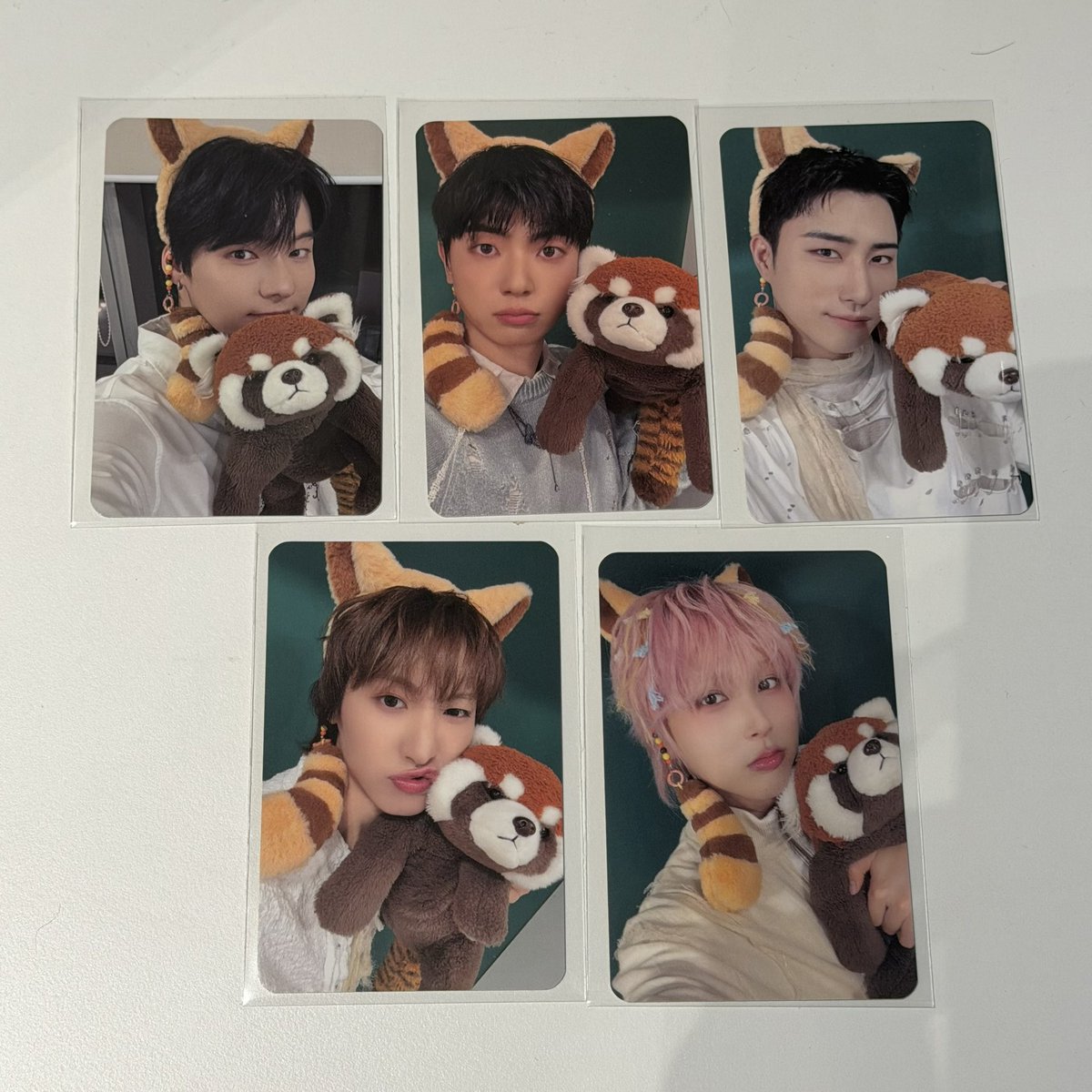 monteoer's tweet photo. 260827 원위 메이크스타 영통 미공포 🦝💗 https://t.co/WbBgTYxIzg