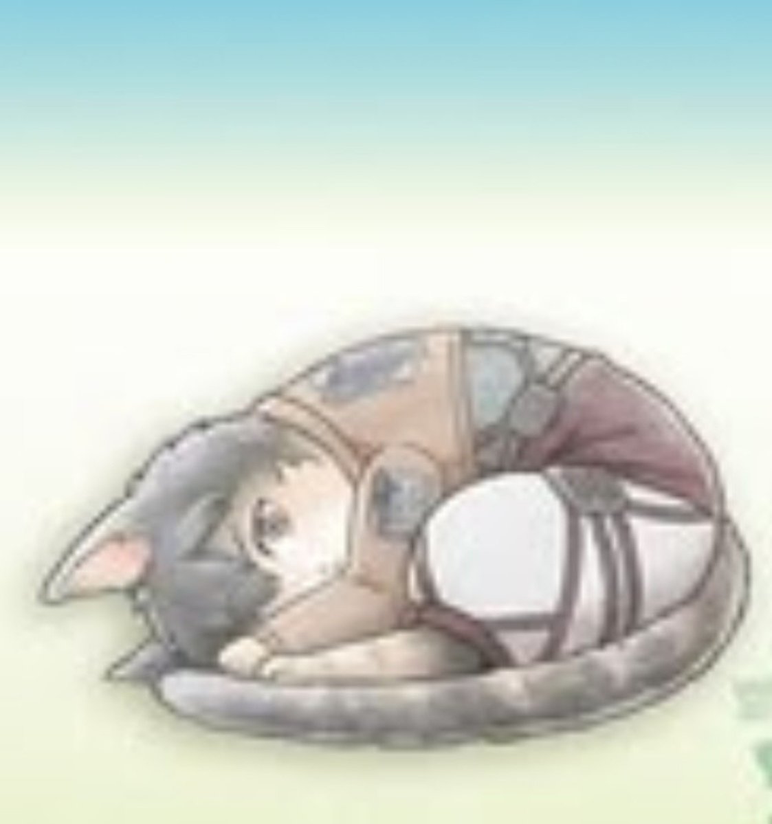 ridereiner's tweet photo. bertholdt the kinda cat to sit on ur laptop to stop you from working https://t.co/pmef4wtkaa