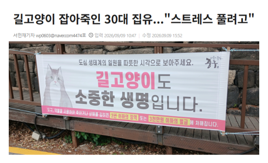 aniko_welfare's tweet photo. "A씨는 약 두 달 동안 비슷한 방법으로 길고양이 총 4마리를 죽인 것으로 드러났다. A씨는 이에 그치지 않고, 길고양이 학대 사실을 버젓이 오픈채팅방 등에 공유하며 '스트레스가 풀렸다'고 글을 올리기도 했다."(기사읽기: https://t.co/wioREap6ki) https://t.co/hhsG1fgV47