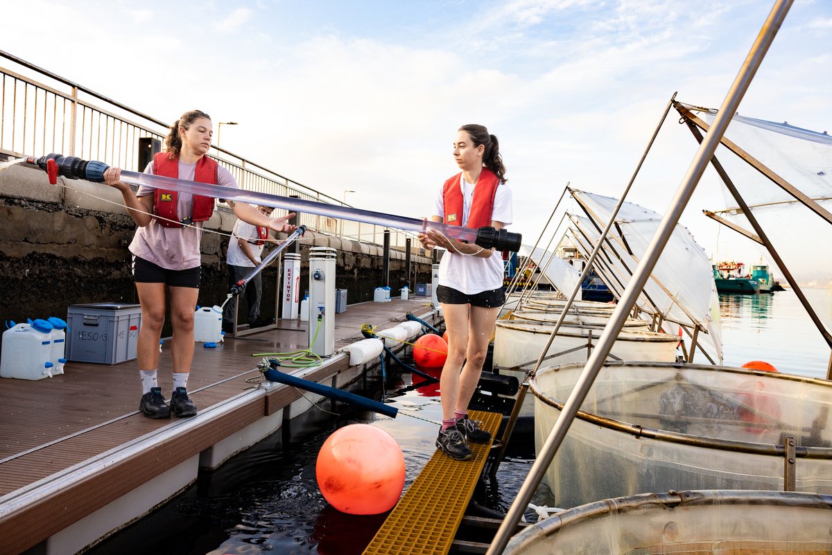 CTCON's tweet photo. ¿Residuos de hormigón para ayudar al océano a captar CO₂? 
🌊 Un experimento en Taliarte, Gran Canaria, estudia esta posibilidad y sus efectos sobre la vida marina.

Más información:
https://t.co/VOP2GbVwgG

#Hormigón #CO2 https://t.co/qUv07rSPMm