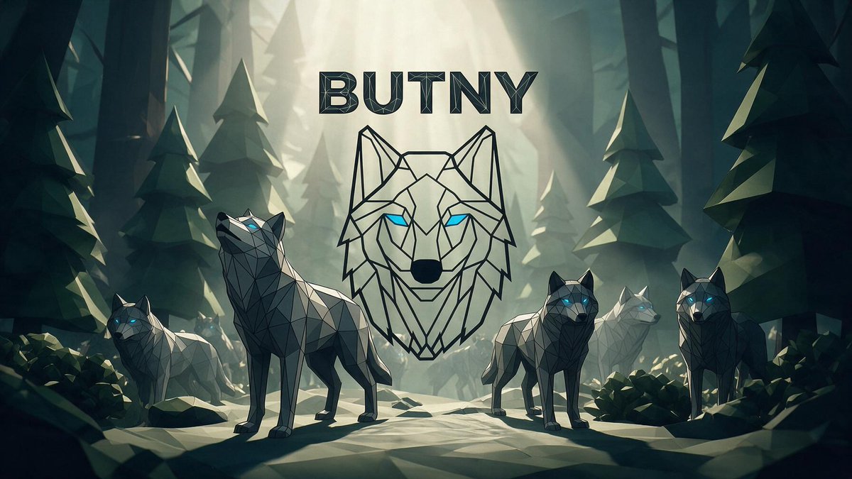 Butny_Wolf's tweet photo. $Butny #SolanaMemes #Crypto The pack does not seek potential. The pack's potential lies within the members themselves. https://t.co/6dGwIzgRDR