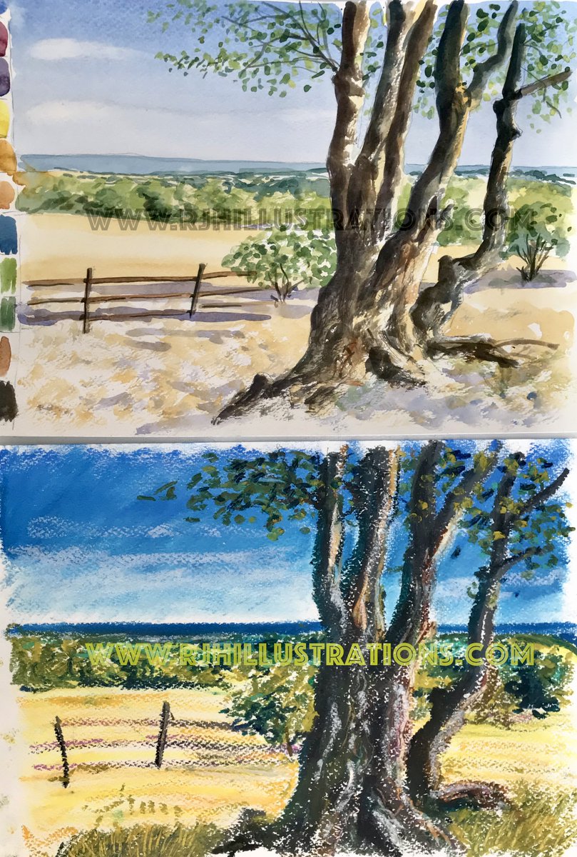 RogerHutchinsI1's tweet photo. These are the two demonstrations I did during my private class on Monday.  I can easily run a class/workshop using different mediums.  I can demonstrate concurrently working on two or more images in different media of the same or different subjects. 🧑‍🎨  #artclass #arttutor #demos https://t.co/uMSU71G0UH