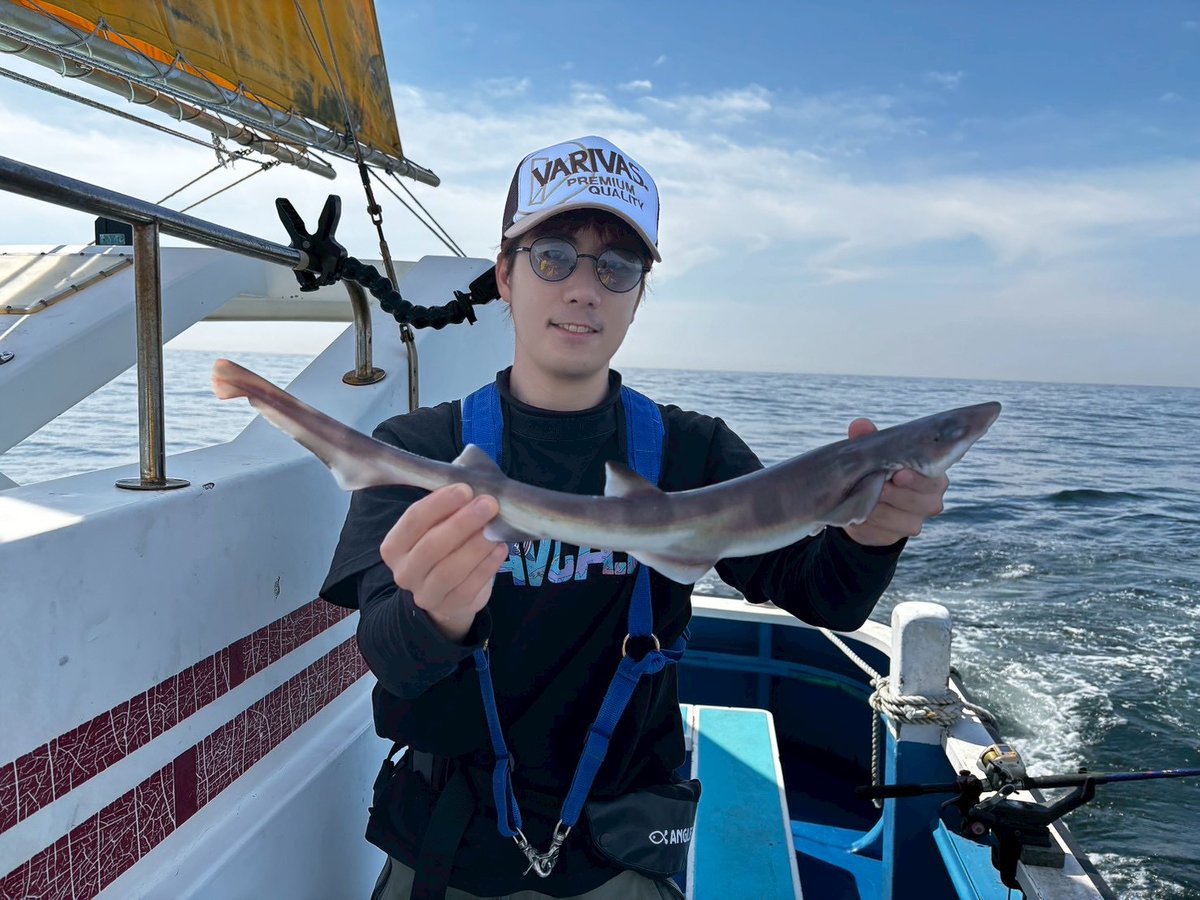 nanukazame1's tweet photo. 【🦈世界記録認定のご報告🦈】     
🥇🥇🥇４９冠目‼️🥇🥇🥇 

 この度、国際ルールに則り深海約２００mから手巻きで釣り上げ世界記録に申請していた深海魚『ニホンヤモリザメ』が公式の世界記録として認められてアメリカから認定証が届きました✨📷   
残り１タイトルとなる節目の👑５０冠👑へ向けて今後も手巻き一筋で深海釣査をやっていきますので応援してくれたら嬉しいです！

＃世界一位
＃深海 ＃釣り