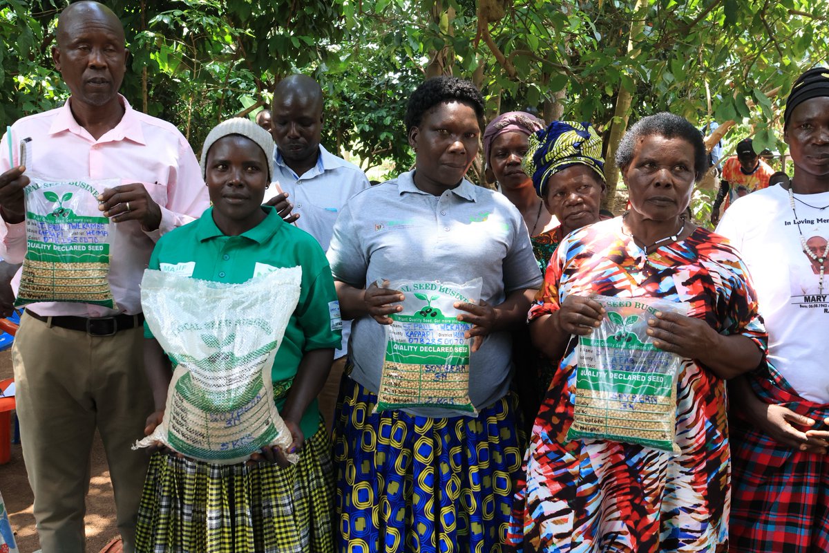 Maaifclf's tweet photo. From Subsistence to Success: NOSP Mid‑Term Review captures powerful farmer breakthroughs

The ongoing National Oil Seeds Project (NOSP) Mid‑Term Review is revealing a powerful shift across Uganda’s oilseed communities. 

Field engagements with farmers show a clear transition from subsistence farming to vibrant commercial agriculture, with households reporting higher production, stronger market linkages and income gains that are transforming education, housing and overall livelihoods.

From Kiboga to Hoima, farmers are showcasing real gains in production, income, resilience and household transformation.

Field Highlights: Production Up, Incomes Rising, Livelihoods Improving. 

In Kiboga, Tukwatanitse Farmers Group (50 members), groundnut production jumped from 6,020 kg (2025B) to 9,370 kg (2026A). 

The group's earnings rose from UGX 22.5M to UGX 40M, a clear sign of improved productivity and stronger market engagement.

In Hoima, St. Paul Twekembe Farmer Group, soybean seed production expanded from 2 acres in 2023 season (B) to 14 acres by 2026 season (B), reflecting improved technical capacity and confidence in commercial production.

Impact beyond farmer groups to individuals;

Atiku John. Harvested 1,000 kg of soybean from 1.3 acres last season, earning UGX 2.5M. His oilseed income has supported his daughter’s University education. She has since graduated with a degree in Oil & Gas and is now training in France. He has also been able to improve household sanitation by constructing  a modern pit latrine for both his guests at home and home use.

Akon Florence. She earned UGX 3M from soybean last season. She invested UGX 1.5M to complete her permanent house and reinvested the remaining UGX 1.5M to expand her farm to 7 acres under St. Paul Twekembe farmers group.

The Bigger Picture

Farmers are not just producing more, they are transforming their futures. Oilseed income is paying for education, better housing, sanitation, and expanded farms. 

These stories demonstrate how NOSP is driving real socio‑economic change across households and communities.

The ongoing Mid Term Review will help MAAIF, IFAD and partners sharpen investments, strengthen implementation and ensure that the remaining project period delivers even greater impact.

@FrankTumwebazek @PS_MAAIF @DesireMuhooza @StateHouseUg @KagutaMuseveni @Parliament_Ug