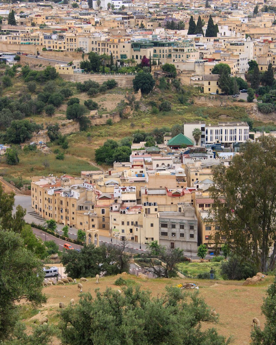 RayLandrushi0's tweet photo. In Morocco, the dirham is non-convertible: exchange on arrival or withdraw cash. Al Boraq links Tangier to Casablanca in about 2 hours. In small taxis, ask for the meter. In Marrakech or Fez medinas, GPS is essential. https://t.co/j3bQkZGAD1