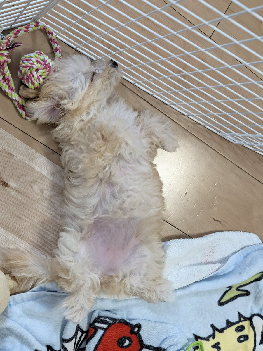 chanoloon's tweet photo. よそ行きじゃない家の様子😙 https://t.co/4Y1dFKw8fK
