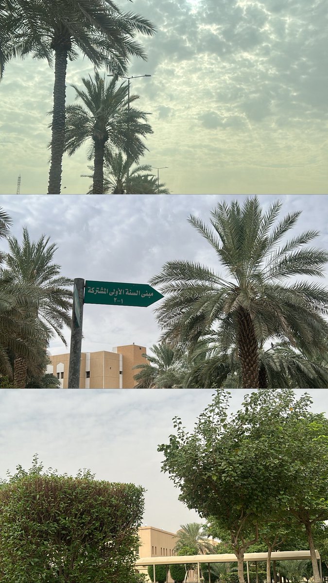 yiilil1's tweet photo. يوم الربوع تزين الطبوع 🤞🏻

#ksu https://t.co/liJ6LDp1Gc