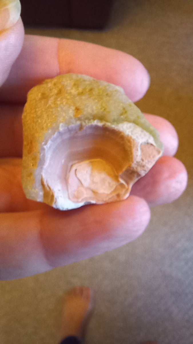 EileenFindlay3's tweet photo. Some wee bits from yesterday's beach hunt.
#BandedAgate
#Geode
#RocksAnne https://t.co/4vODV8lXou