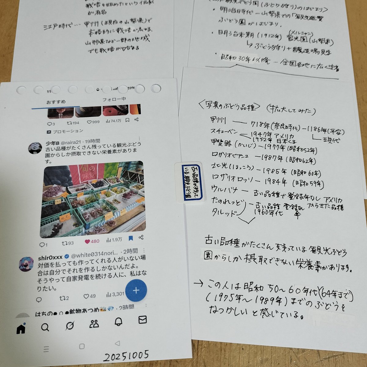 rurutecho's tweet photo. 「古い品種がたくさん残っている観光ぶどう園」の投稿をきっかけに下記調べました。
日本のぶどう歴史　
日本最古の品種甲州　
観光ぶどう園の始まり
拡大写真のぶどうの品種

雑学手帳楽しんでいます。 https://t.co/wdpqOwMDwh