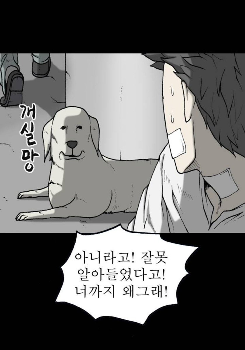 ojm8dnout's tweet photo. 조의 영역 베스트 커플상
프란시스와 주춤이 https://t.co/V44sXrCDLL