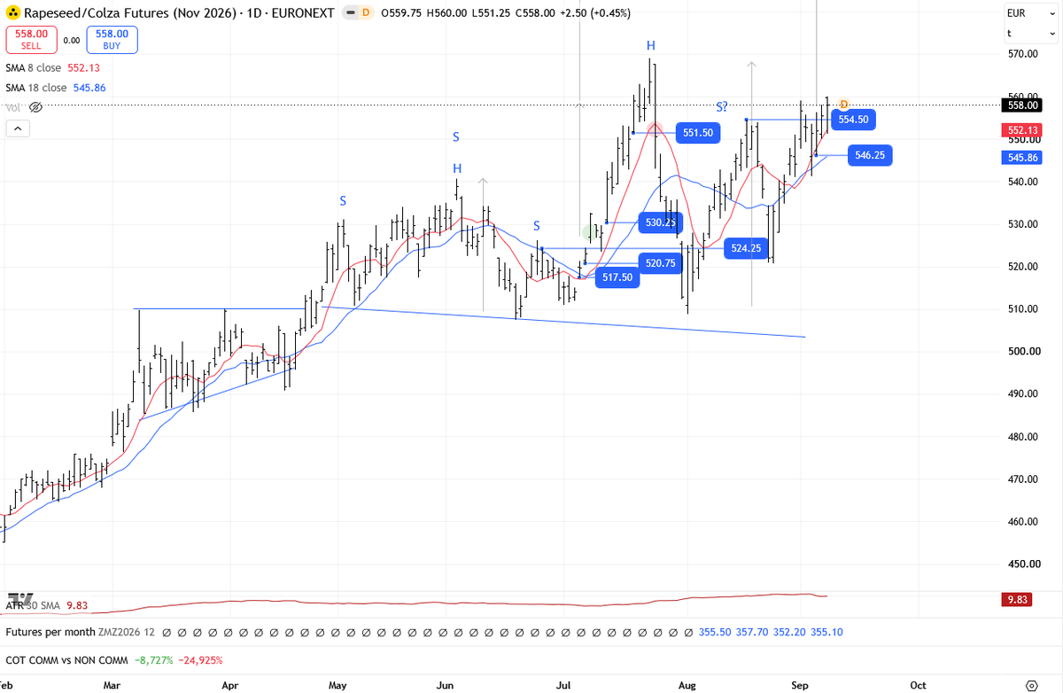choedl's tweet photo. @factor_members European Rapeseed, I interpret it as an interlocking asymmetric H&amp;S https://t.co/Rk1GaesUTj