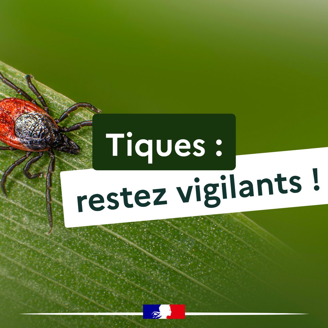 Image de Préfet de la Haute-Savoie - 🚨 Tiques : restez vigilants ! 

La Haute-Savoie constitue un foyer historique de l’encéphalite à  t
