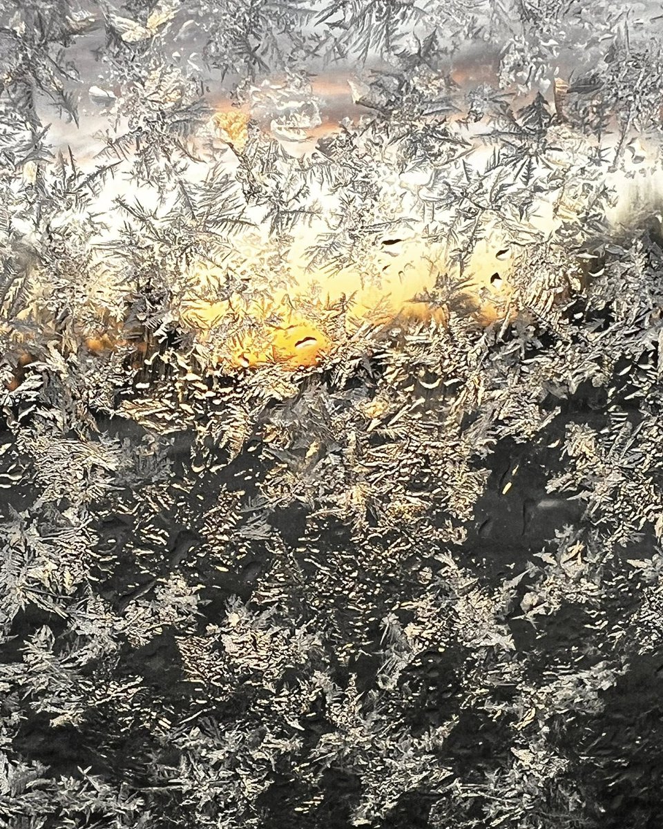 ShanMaglorrio's tweet photo. Sunrise through my frosty windows as I pulled out of my driveway this morning…

Good morning, friends! Have an amazing day—and if you can’t, don’t you dare mess with someone else’s! https://t.co/1S7h9bfDRP