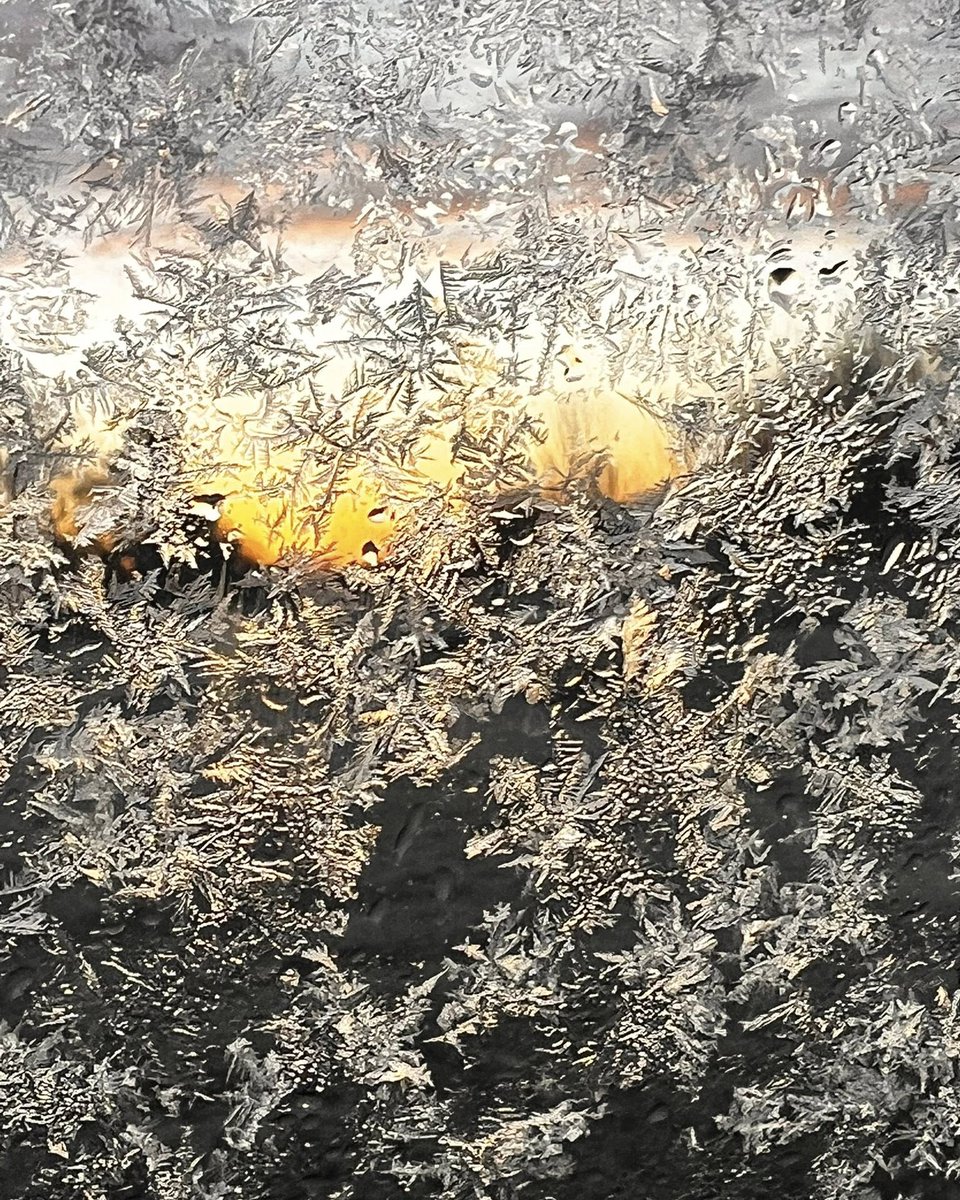 ShanMaglorrio's tweet photo. Sunrise through my frosty windows as I pulled out of my driveway this morning…

Good morning, friends! Have an amazing day—and if you can’t, don’t you dare mess with someone else’s! https://t.co/1S7h9bfDRP