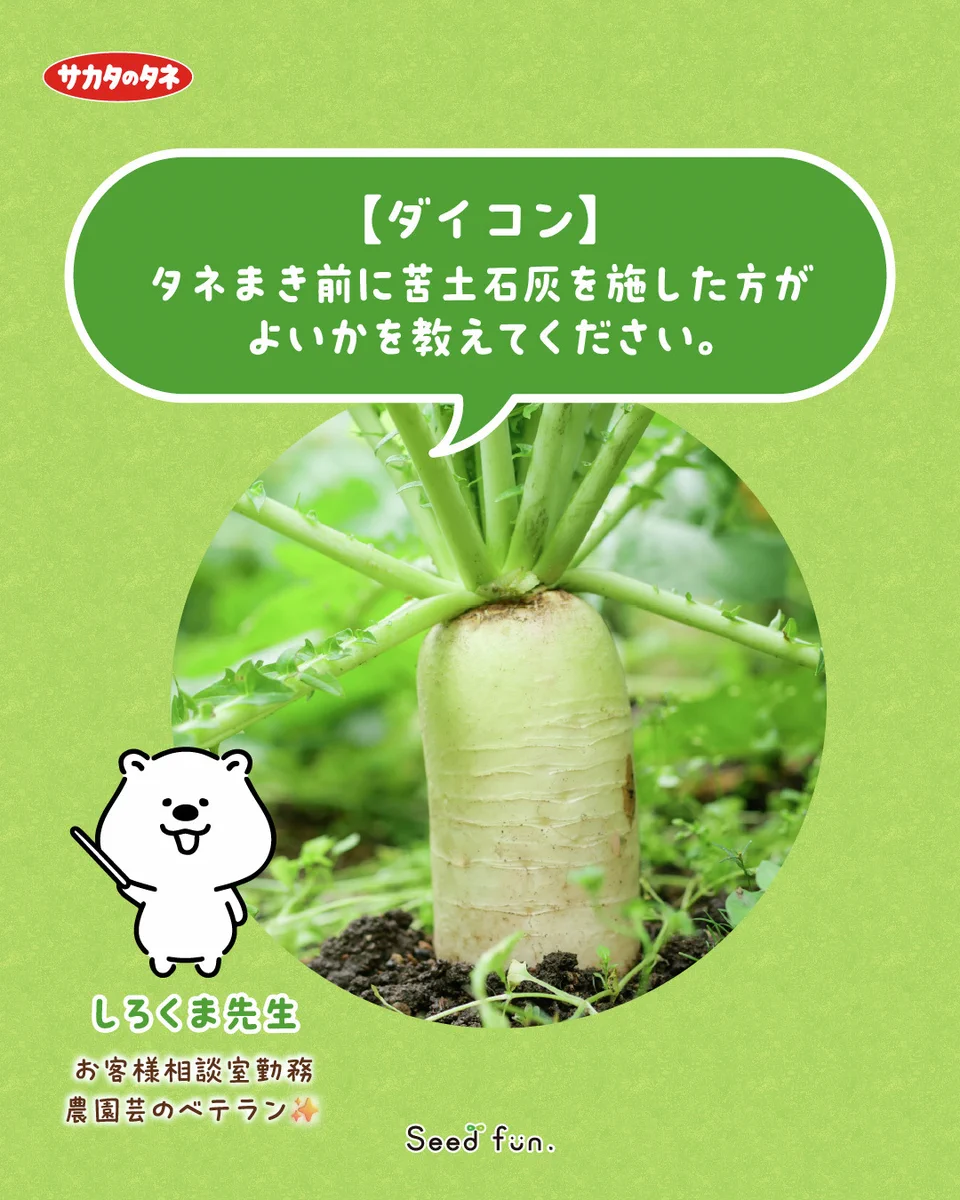 サカタのタネ_Seedfun.【公式】 on X: 