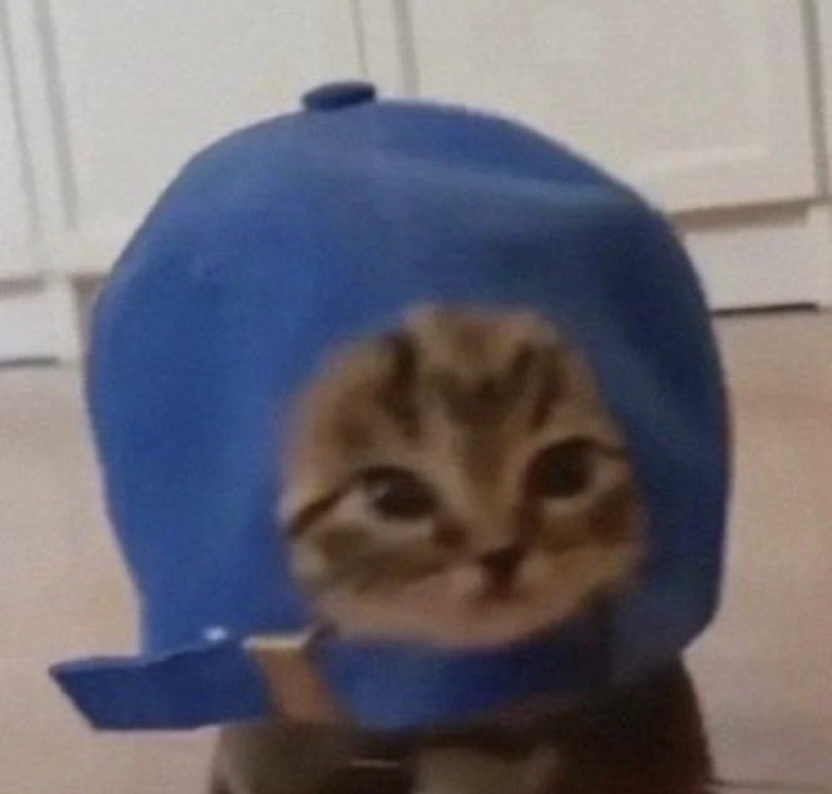 Demuretrades_'s tweet photo. 10B traded 

And you’re fading @MEADGod’s favourite cat 

CAP STAYS ON https://t.co/ItpVYi2TPv