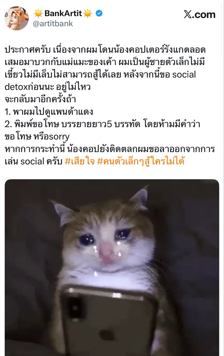 bubbleehello's tweet photo. step เคะ มีวิธีง้อพร้อม เลือกเ���ยจะง้อยังไง # เสียใจ # คนตัวเล็กๆสู้ใครไม่ได้ ขู่ฟ่อ🐱💢5555555 https://t.co/lq2G54a3ca