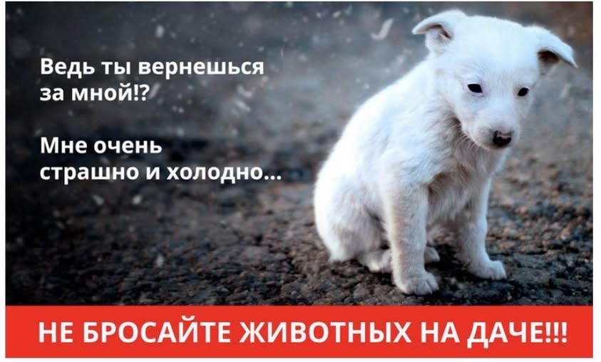 MrLyahoff's tweet photo. https://t.co/Vdg7ZsqZGf