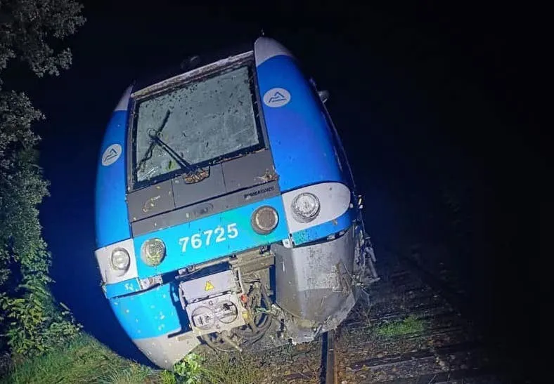 RmrhRet93702's tweet photo. Jour 2 - Dénoncez la SNCF 
SNCF qui a les pire matériel de France avec ses vieux AGC qui sortent de l'enfer. VOICI DANS CETTE PUTAIN DE PHOTO DE MERDE UN AGC QUI VIENT DE UNE DES PIRES REGION DE FRANCE.💩 https://t.co/pQD53uLH5I