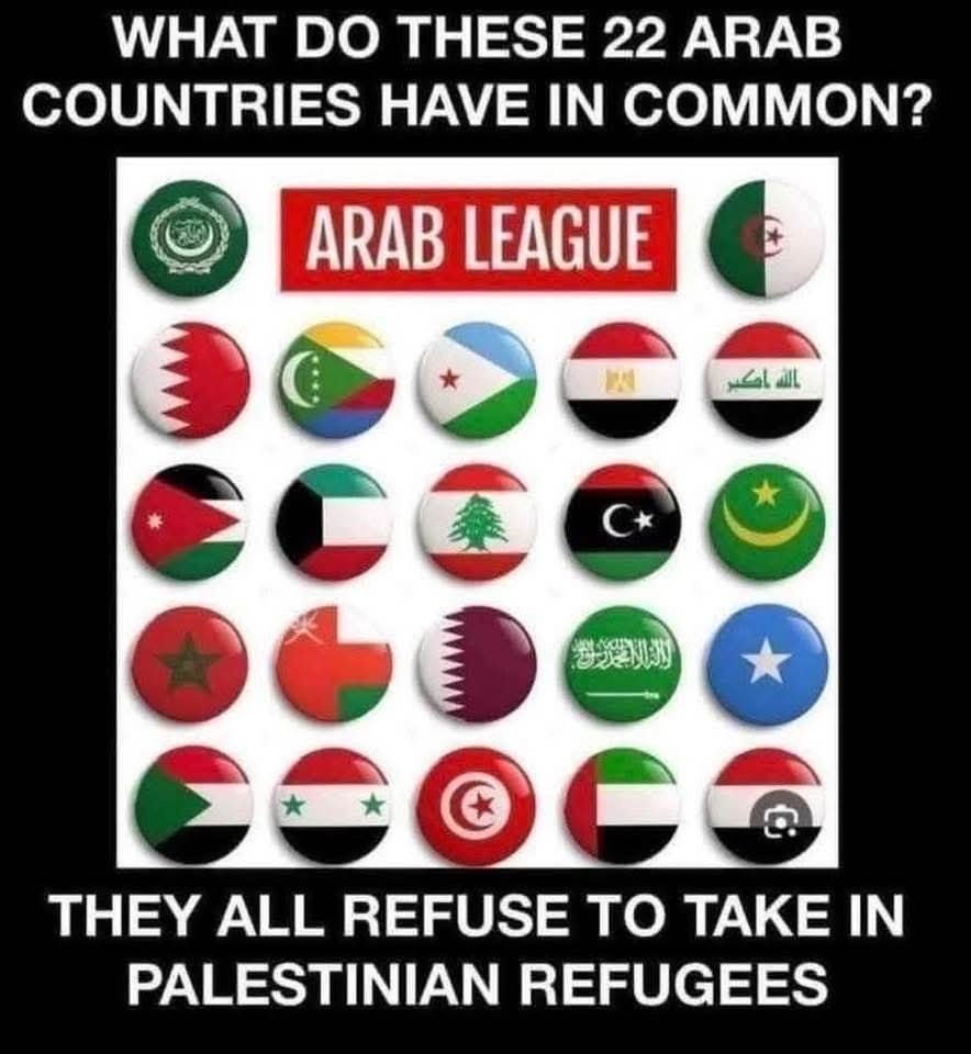 LeeLeeYoYo22's tweet photo. 🙄 Not even the surrounding Arab Muslim nations want "Palestinians" to settle in their countries.
Meanwhile CHRISTIANS in Northern Africa, particularly NIGERIA, are expirencing ACTUAL GEN0CIDE at the hands of ISLAMIC JIH@DISTS. 
In fact, other religious minorities across the MENA are also being targeted by Islamic jih@dists. 
Westerners like David are either ideologically brainwashed, fooled by the the propaganda, religiously or politically motivated because of intrinsic Jew-hatred and who use "anti-Zionism" as a disguise for antisemitism. 

Disclaimer: This content is intended solely for educational purposes. I unequivocally denounce any form of violence, hate, harassment, or bullying. This page does not endorse or promote dangerous acts, organizations, or any form of violence. In accordance with section 107 of the Copyright Act of 1976, this content is made available for "fair use" purposes, including criticism, comment, news reporting teaching, scholarship, education, and research.