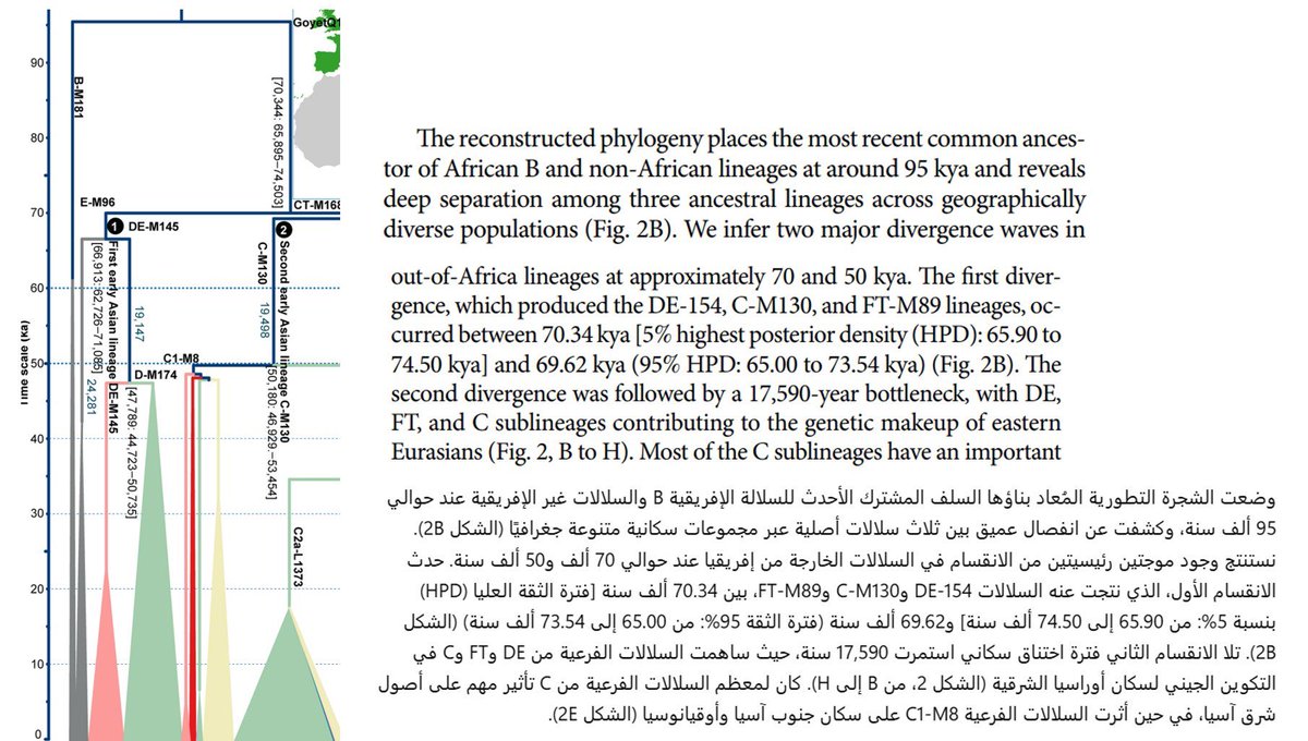 akkedia_1's tweet photo. للتذكير من أصل 60,299 عينة مؤكدة 
على السلالة الأفروآسيوية  E1 توجد 39,872 عينة غير معلومة Unknown  أكثر من 66٪ من عينات السلالة E1 مخفية!

ليش تخفي العينات يا بو مخفي

﴿يَوْمَ لَا يَنفَعُ مَالٌ وَلَا بَنُونَ ۝ إِلَّا مَنْ أَتَى اللَّهَ بِقَلْبٍ سَلِيمٍ﴾ [الشعراء: 88-89 https://t.co/9MrjIIDoJQ