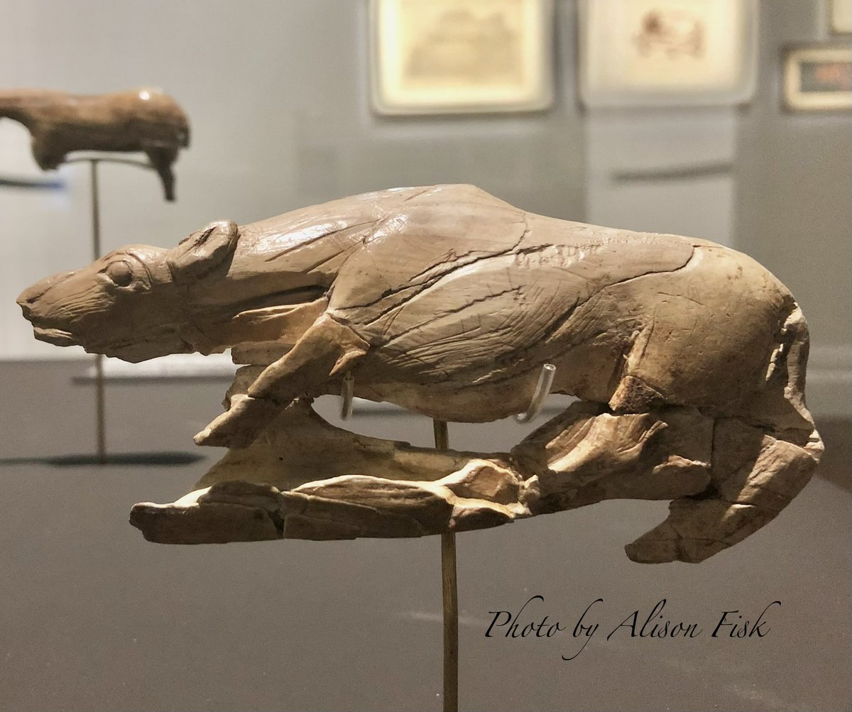 My photo shows an Upper Paleolithic spear-thrower handle (also known as an atlatl) carved in the form of a crouching animal, viewed in profile with head to left. Its head and neck are extended forward, low to the ground, and its legs are tucked beneath its body. It has a long downward curved tail, the pointed lower end of which ends beneath the body at lower right, forming the hook against which the tail end of the spear rests. It is known as the ‘Creeping hyena’ spear thrower. The ivory is a warm beige colour and is cracked with age in places. The sculpture is mounted on a thin metal support in a museum display case. It was found in La Madeleine rock shelter, Tursac, Dordogne, France. I saw this spear thrower on display at the Pompidou Centre, on loan from the National Prehistory Museum in Les Eyzies-de-Tayac.