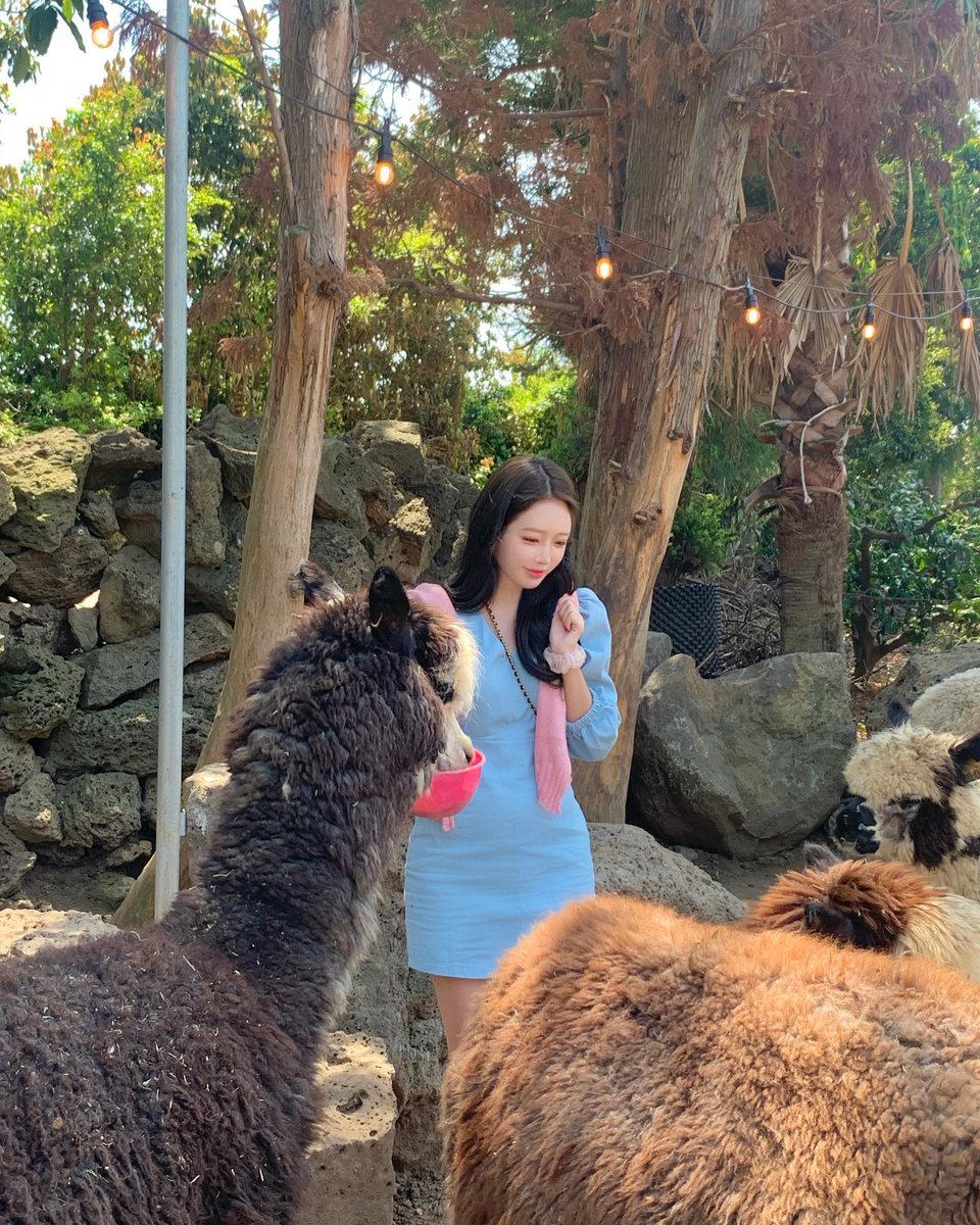 burcukasap2's tweet photo. 週末は家でゆっくり派ですか、それとも外に出かける派ですか。たまにはこういうのも悪くない。 🙌💖
VHQrF https://t.co/fug1ywaeRy